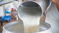 Dulu Diyakini Benar, 10 Anggapan Soal Makanan Ini Tak Lagi Dipercaya (1)