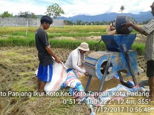 Pemerintah Siapkan Skema KUR untuk Penggilingan Padi