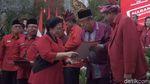 Foto: Ini Jagoan PDIP di Pilkada Riau, NTT, Maluku dan Sultra