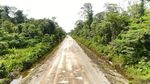 Indahnya! Ini Penampakan Terbaru Jalan Trans Papua