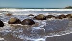 Foto: Pantai Selandia Baru yang Punya Telur Naga