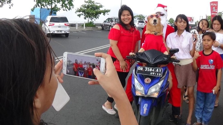 Pakai Baju  Santa Anjing  Pintar di Manado Naik Motor 