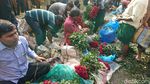 Foto: Kolkata dan Orang Mandi di Sungai Gangga
