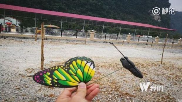 Penampakan kupu-kupu yang ada di taman. Ternyata hanya plastik.