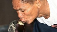 Pawang asal Filipina yang berjuluk King Cobra tewas dengan tragis. Ia kena bisa gigitan kobra yang dipeliharanya. Foto: AFP