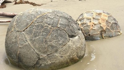 Foto: Pantai Selandia Baru yang Punya Telur Naga