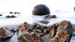 Foto: Pantai Selandia Baru yang Punya Telur Naga