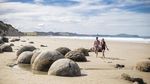 Foto: Pantai Selandia Baru yang Punya Telur Naga