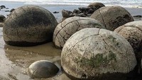 Bebatuan yang mirip telur naga ini disebut dengan Moeraki Boulders (kengdus/Instagram)