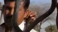 Pawang itu mencoba melakukan atraksi dengan menaruh ular di sekitar leher penonton. Ular itu berontak kemudian menyerang pria dengan mematuk di area pipi. Foto: Internet