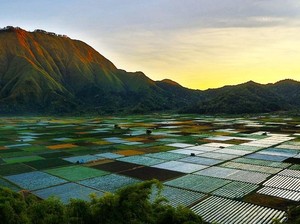 Mengenal Desa Adat Beleq, Asal-usul Sembalun Lombok