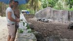 Foto: Ajaibnya Pulau La Digue dari Seychelles, Afrika