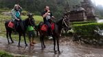 Menjelajah Wisata Alam Candi Gedong Songo
