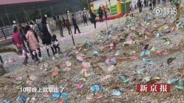 Penampakan 'kupu-kupu' di sebuah taman di China.