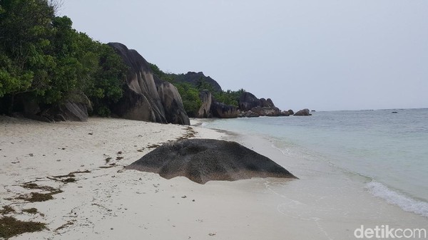 Foto: Ajaibnya Pulau La Digue dari Seychelles, Afrika
