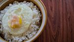 Mau Bekal Apa Besok? 10 Makanan Ini Bisa Jadi Inspirasi Anda!