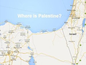 Palestina Tak Muncul di Maps, #FreePalestine Menggema