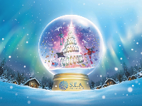Rayakan Natal di S.E.A. Aquarium Bareng Salah Satu Pari Terlangka