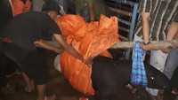 Begini proses evakuasi tapir dari permukiman warga.