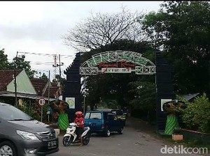 Kisah di Balik Ribuan Bulus di Wisata Sendang Tawun Ngawi