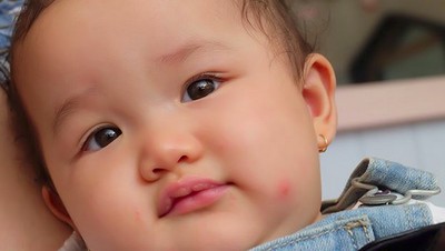 Gemas Banget Lihat Pipi Chubby Sheva, Putri Bungsu Ussy-Andhika