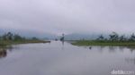 Ini Sawah di Banjarnegara yang Mendadak Jadi Danau