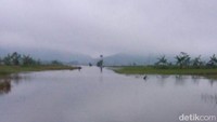 Sekitar 30 hektare sawah di Kecamatan Kalibening, Kabupaten Banjarnegara, Jawa Tengah terendam banjir. Sawah tersebut pun berubah jadi danau.