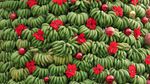 Unik! Ada Pohon Natal Terbuat dari Pisang di Lebanon