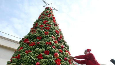 Unik! Ada Pohon Natal Terbuat dari Pisang di Lebanon
