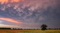 Awan mammatus atau awan payudara di Montgomery County, Maryland, pada Mei 2017 (Foto: Dok. Facebook Martin Radigan via The Washington Post)