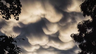 Foto: Awan Mammatus yang Jadi Sorotan di Langit Melbourne