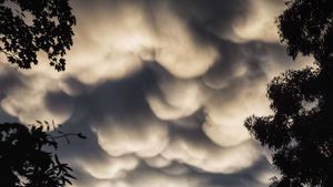 Foto: Awan Mammatus yang Jadi Sorotan di Langit Melbourne