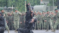 Begini aksi prajurit Kostrad saat meminum darah ular kobra (Foto: Dok. Pendivif 1 Kostrad)