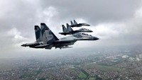 Pesawat ini dapat terbang dengan kecepatan maksimum 2.390 km/jam dengan jangkauan tempuh maksimum 3.600 km hingga 4.200 km. Pesawat ini juga dikenal dengan kemampuan manuvernya yang lincah. Dok. sukhoi.ord