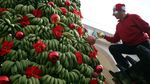 Unik! Ada Pohon Natal Terbuat dari Pisang di Lebanon