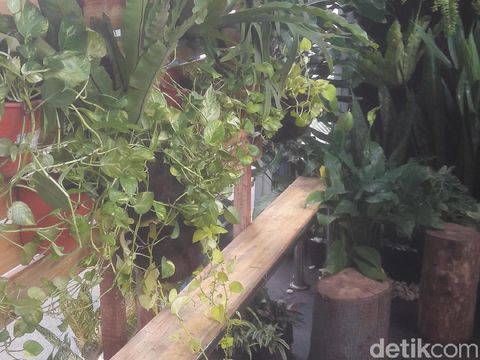 Dihiasi Tanaman, Halte TransJakarta Tosari Tampak Asri