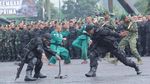 Ngeri! Saat Prajurit Kostrad Pamer Makan Kobra di Depan Panglima