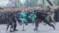 Para prajurit Taipur Kostrad ini tampak membawa ular kobra.  (Foto: Dok. Pendivif 1 Kostrad)