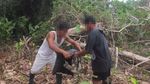 Potret Kejam Perburuan Sloth di Peru
