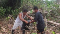 2 Pemburu memasukkan sloth tersebut ke dalam karung berwarna hitam. Video berdurasi 1 menit ini berakhir saat pemburu membawa sloth ini naik kapal dan dijual ke pasar (dok. World Animal Protection)
