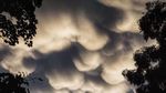 Foto: Awan Mammatus yang Jadi Sorotan di Langit Melbourne