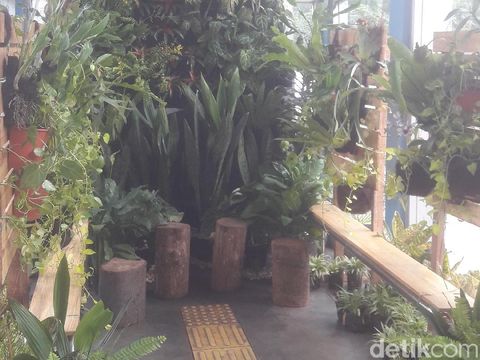 Dihiasi Tanaman, Halte TransJakarta Tosari Tampak Asri