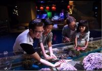  Pengunjung mengenal ragam biota laut di Jakarta Aquarium (Foto: Jakarta Aquarium)