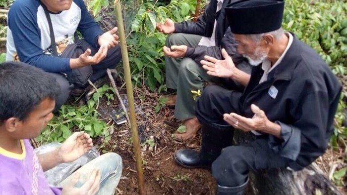 Aksi Pawang Usir Harimau yang Masuk Kebun Warga Aceh