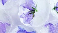 Yang ini juga tak kalah unik. Es batu bening dengan lembaran edible flower di dalamnya. Tinggal pilih sesuai selera. Foto: Istimewa