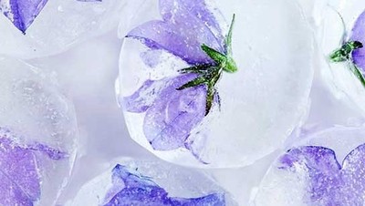 Cantik! Es Batu dengan Tambahan Bunga hingga Buah yang Rasanya Unik