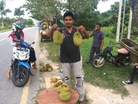 Lezatnya Tiada Dua Durian Tembaga Asal Siak Riau