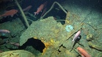 HMAS AE1 dengan 35 awak dari Australia, Inggris dan Selandia Baru hilang pada 14 September 1914 di dekat Duke of York Islands. Kapal selam itu merupakan kapal selam pertama dari dua kapal selam Kelas E yang dibangun untuk Angkatan Laut Australia. Kapal selam itu adalah kapal selam pertama milik sekutu yang hilang dalam Perang Dunia I dan hilangnya kapal itu menandai misteri laut tertua di Australia. Royal Australian Navy/Handout via REUTERS.