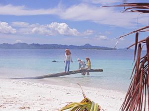 25 Turis Asing di Aceh Dikumpulkan di Satu Pulau, untuk Apa?
