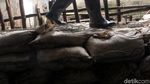 Melihat Perbaikan Tanggul Jati Padang yang Jebol
